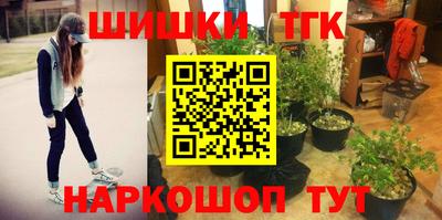 спиды Гусев