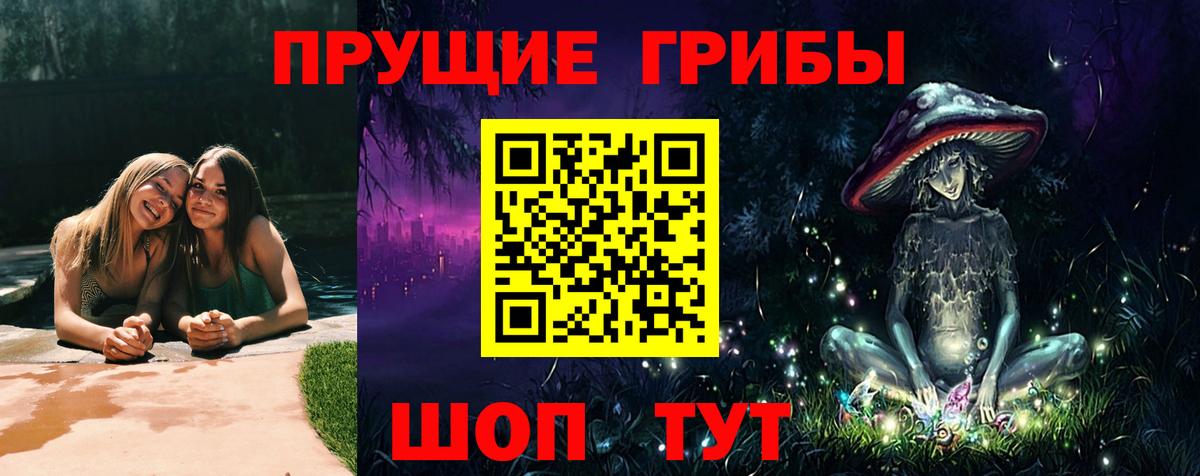 Псилоцибиновые грибы Psilocybe Азов