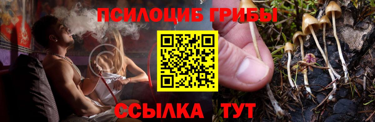 Азов  Галлюциногенные грибы прущие грибы  Галлюциногенные грибы мицелий  Вход с VPN 